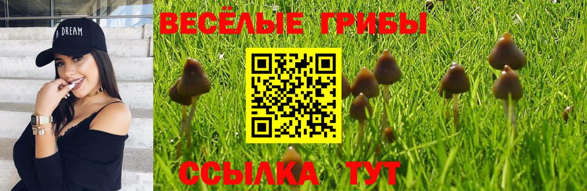Галлюциногенные грибы ЛСД  Вход с VPN  Апшеронск 